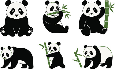 Obraz premium panda and bamboo