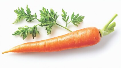 Fresh Carrot with Greens