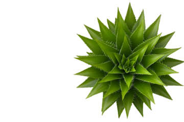 3D Illustration Of A Stylized Pineapple Plant Isolated On Black Background