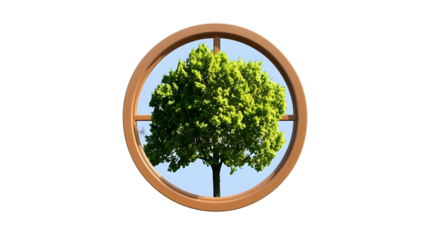 Illustration Of Tree In Window Isolated Background