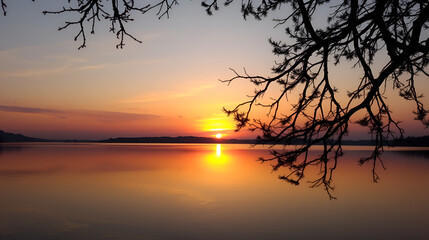 Fototapeta premium Serene sunset reflects on calm water, framed by silhouetted tree
