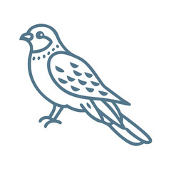 Obraz premium Common Nighthawk Bird Line Art Illustration