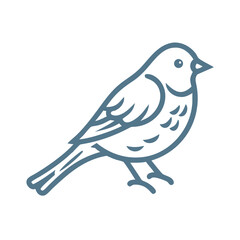 Dark-Eyed Junco Bird Line Art Illustration