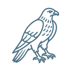 Harris Hawk Outline Illustration, Vector Bird