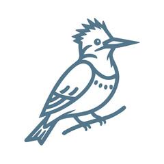 Belted Kingfisher Outline Illustration on Branch