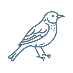American Robin Bird Line Art Illustration