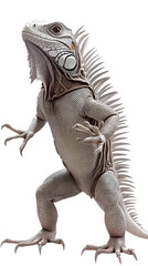 Obraz premium Isolated Iguana Portrait With Transparent Background