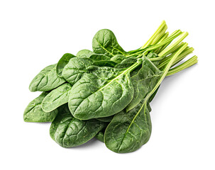 Fresh spinach bunch tied with twine isolated on transparent background, healthy green leafy vegetable rich in vitamins and antioxidants

