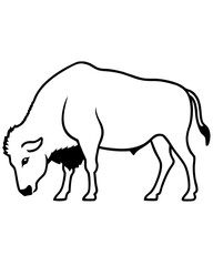 silhouette of a bull