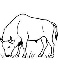 silhouette of a polar bear