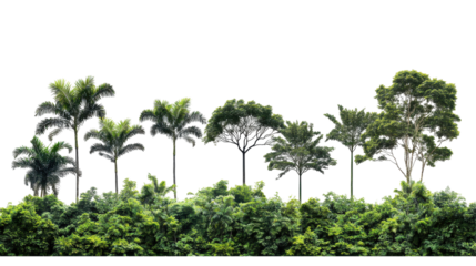 Computer-generated image of a tropical urban setting, showcasing lush vegetation and buildings nestled amidst dense foliage.