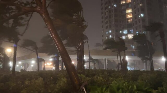 Thrashing Palms In Raging Hurricane Winds As Storm Hits City At Night - Saola