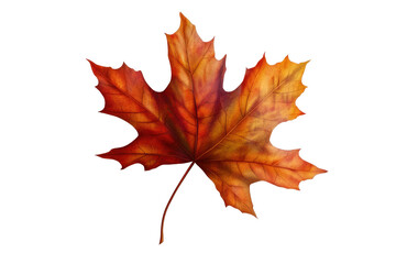 Fototapeta premium Detailed graphic illustration of a vibrant autumnal maple leaf against a dark background, showcasing the rich hues of fall foliage.
