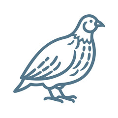 Obraz premium Bobwhite Quail Line Art Illustration