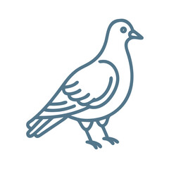 Fototapeta premium Minimalist Rock Dove Line Art Illustration