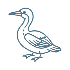 Simple Gannet Illustration, Line Art, Blue