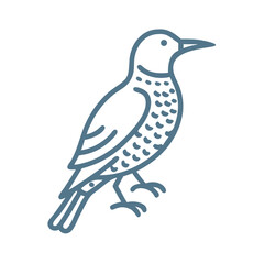 Obraz premium Minimalist Northern Flicker Bird Line Art Icon