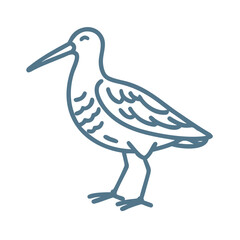 Long-Billed Curlew Line Art Illustration