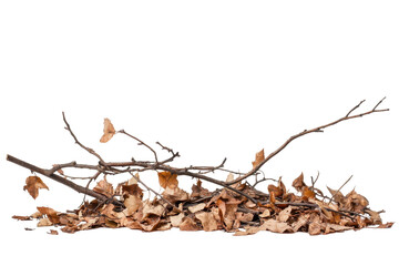 Close-up view of a cluster of fallen, dried leaves and twigs, arranged in a horizontal composition against a dark background.