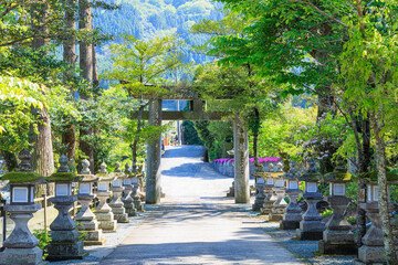 初夏の嵐山瀧神社　大分県玖珠郡　Arashiyama Taki Shrine in early summer. Oita Pref, Kusu County.