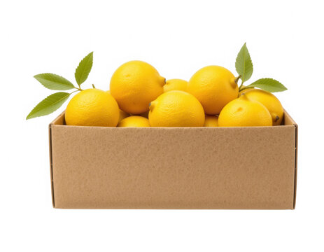 box of lemon isolated on white background png - Powered by Adobe