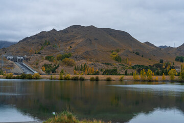 Fototapeta premium Autmnal foliage on the poplar trees around the Waitaki river Lake Benmore