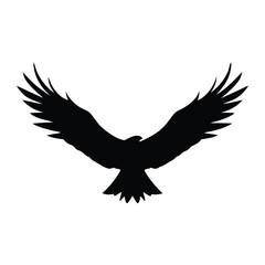Fototapeta premium Silhouette of an eagle flying with spread wings on a white background