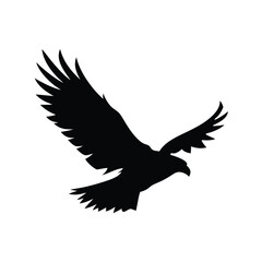 Fototapeta premium Silhouette of an eagle flying with spread wings on a white background