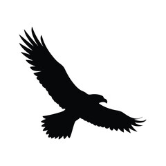 Fototapeta premium Silhouette of an eagle flying with spread wings on a white background