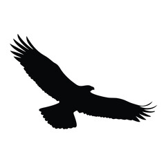 Naklejka premium Silhouette of an eagle flying with spread wings on a white background