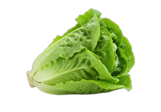 Stack of colorful books with a graduation cap on top isolated on a transparent background.