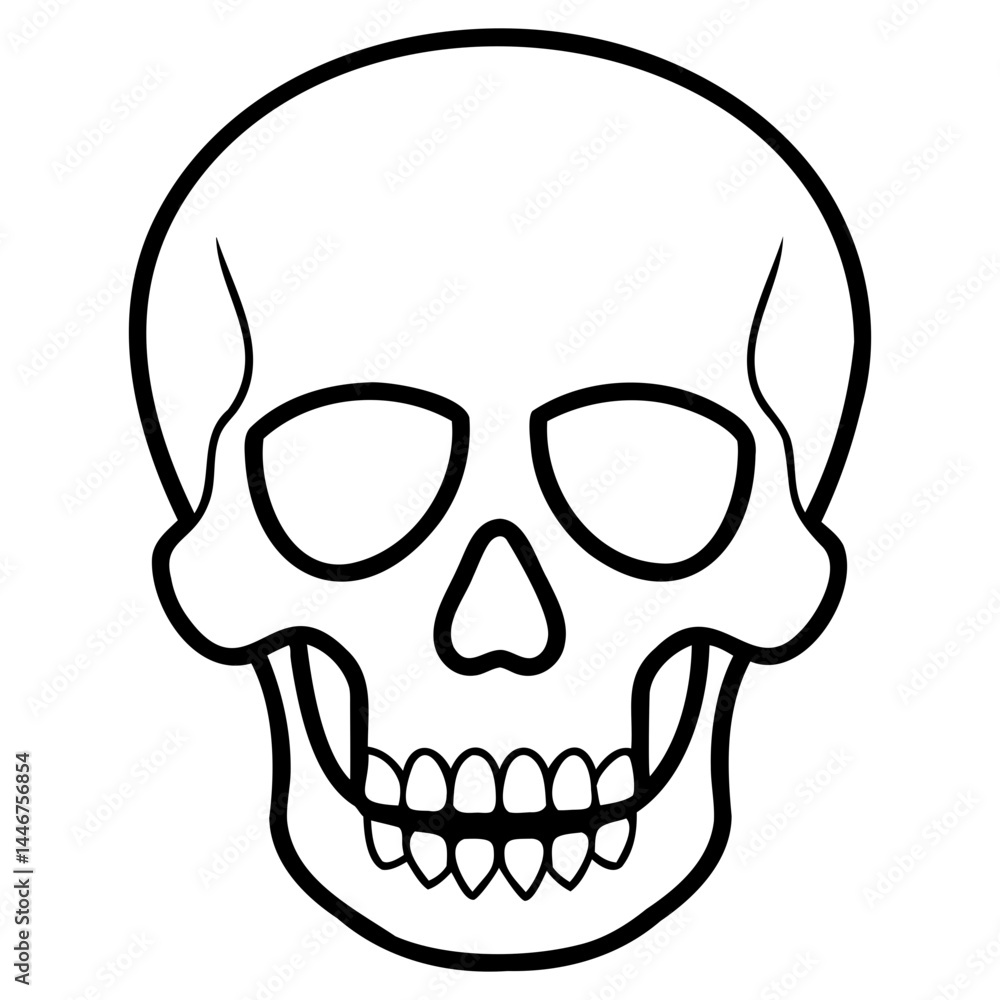 Aufkleber human skull vector drawing with fine line art isolated on a clear transparent background for artisti