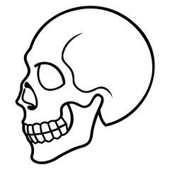 Black line art skull vector illustration isolated on a transparent background ideal for print and web artwork