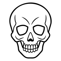 Human skull vector drawing with fine line art isolated on a clear transparent background for artistic projects