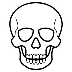 Human skull vector drawing with fine line art isolated on a clear transparent background for artistic projects