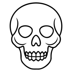 Human skull vector drawing with fine line art isolated on a clear transparent background for artistic projects