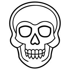 skull vector line art or vector outline isolated on a transparent background