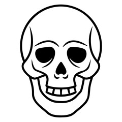 skull vector line art or vector outline isolated on a transparent background