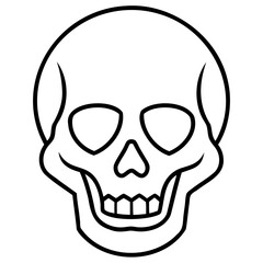 skull vector line art or vector outline isolated on a transparent background