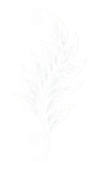 Obraz premium White Floral Scroll Design - Transparent Background