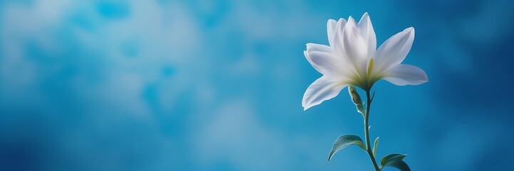Fototapeta premium Elegant White Flower Blooming Against Clear Blue Sky – Nature Photography Capturing Spring Beauty and Floral Serenity