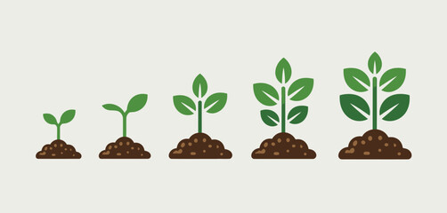 Plant Growth Stages Illustration Seedling to Mature Plant