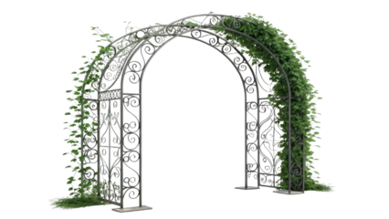 Elegant wrought iron garden arch adorned with climbing green vines, perfect for outdoor weddings, garden entrances, or decorative landscaping. intricate design adds charm and sophistication