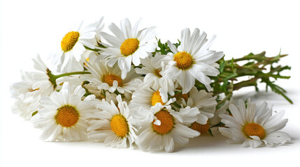Obraz premium Beautiful bouquet of daisies