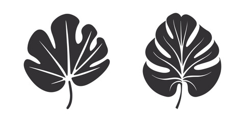 Monstera tree leaf set ,silhouette vector illustration. set of black silhouettes of leaves