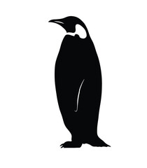 Naklejka premium Emperor penguin silhouette. This image shows a black silhouette of an emperor penguin, also known as a flightless seabird, standing upright in a sleek posture. Vector clipart illustration design.