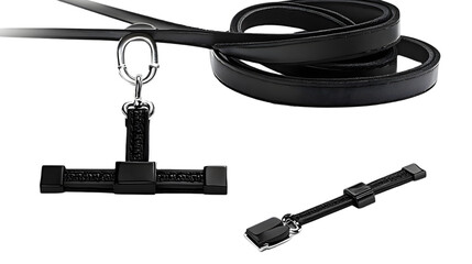 Black Dog Leash And Collar Accessories Illustration