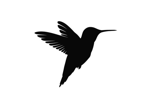 Hummingbird silhouette. This image shows a black outline of a hummingbird in flight with wings spread wide, showcasing the bird's elegant and distinctive shape. Vector clipart illustration design.