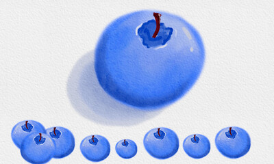 blueberry on white background