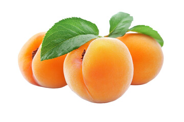 Three vibrant, ripe apricots with green leaves are displayed against a plain background.  The image highlights the fruit's texture and color.